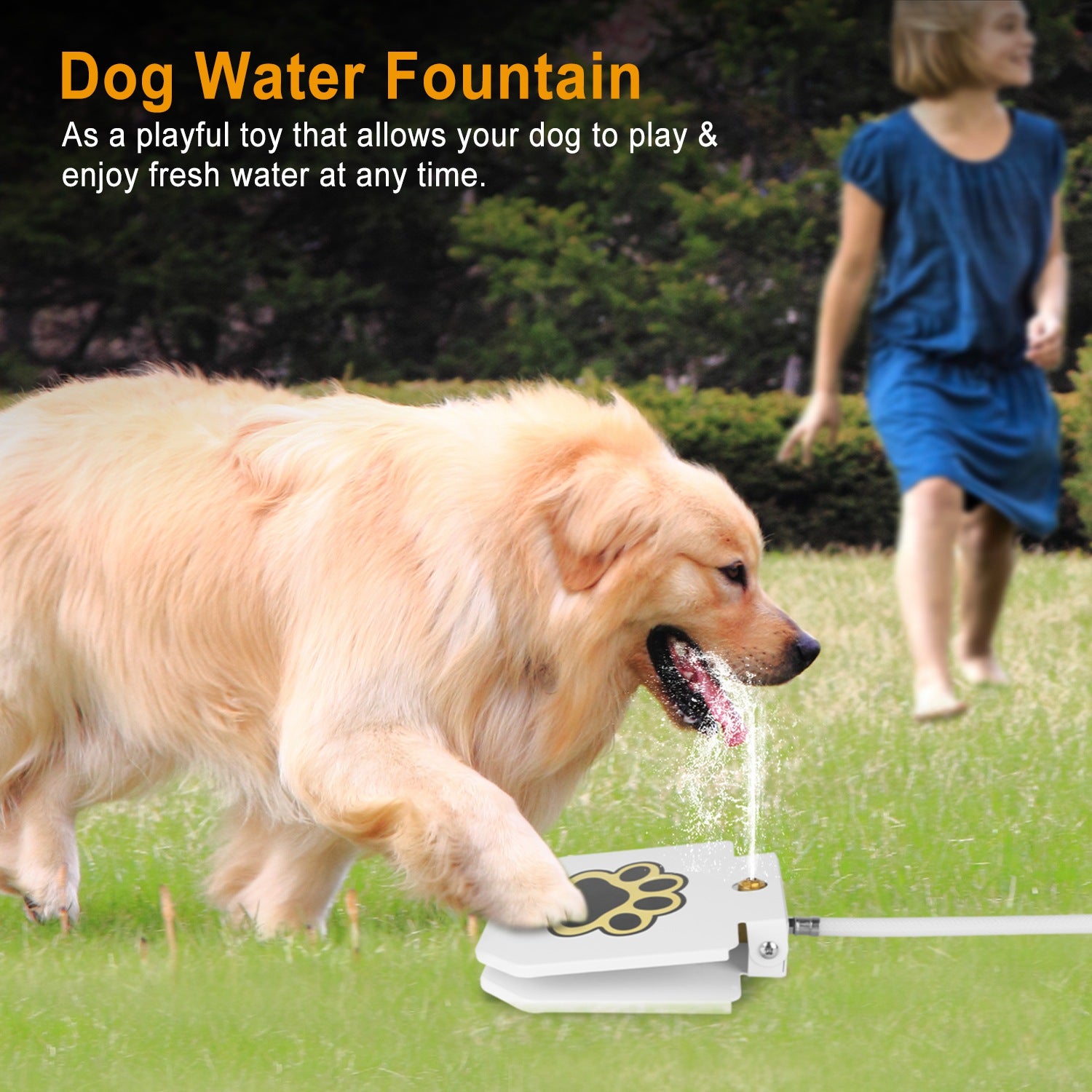 Smart Pet Water Fountain – Wireless Stainless Steel Water Dispenser