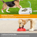 Smart Pet Water Fountain – Wireless Stainless Steel Water Dispenser