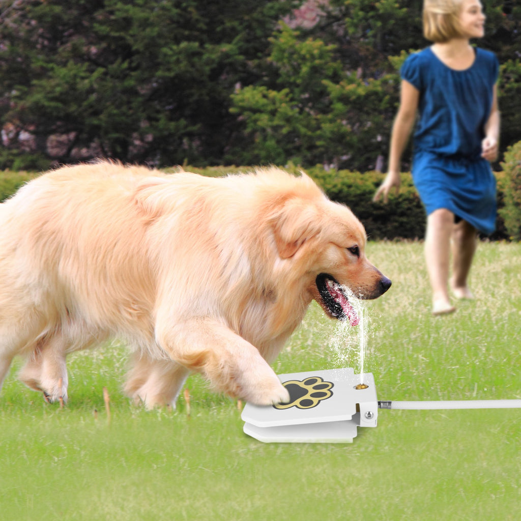 Smart Pet Water Fountain – Wireless Stainless Steel Water Dispenser