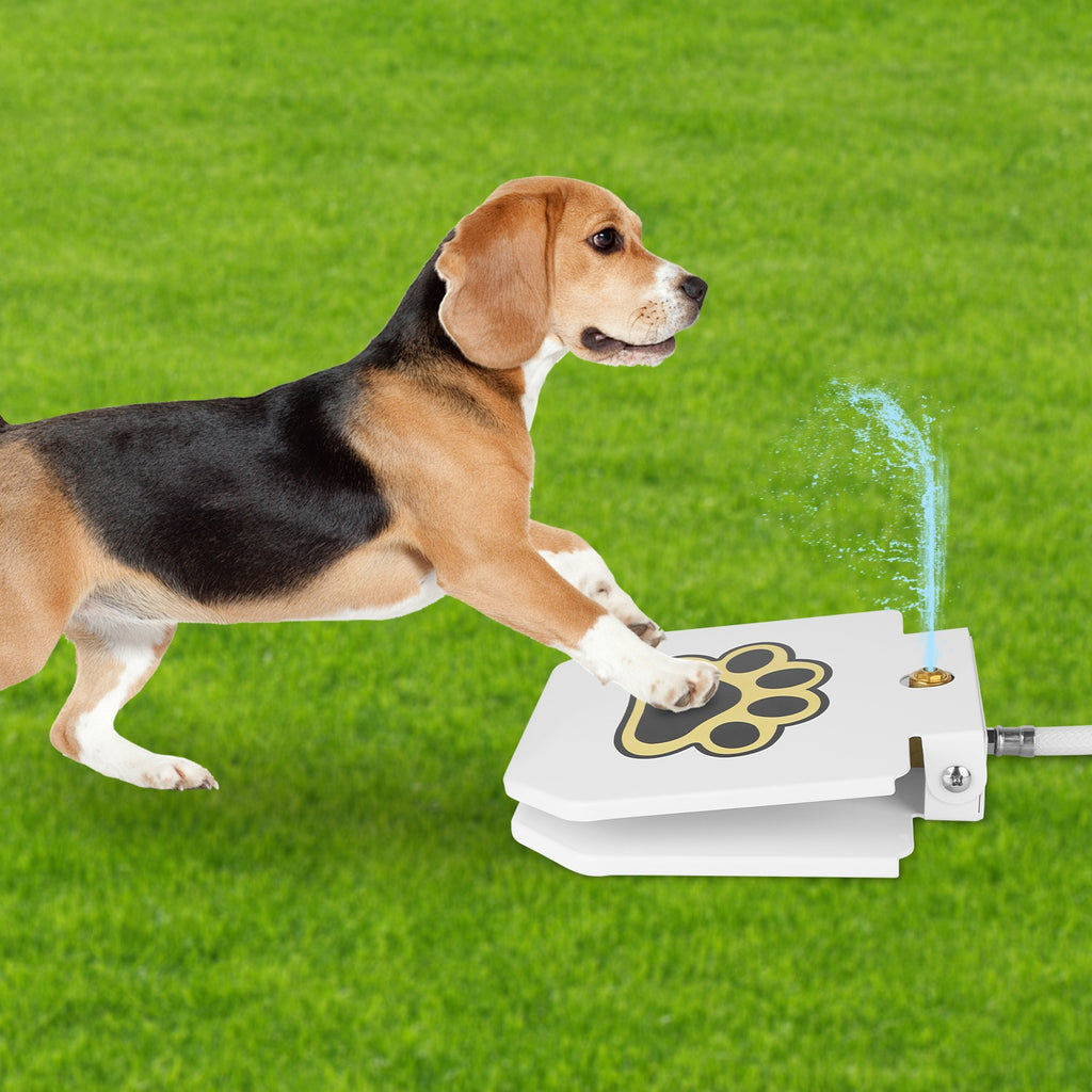 Smart Pet Water Fountain – Wireless Stainless Steel Water Dispenser