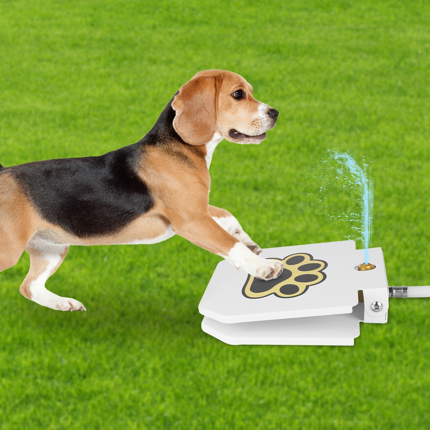 Smart Pet Water Fountain – Wireless Stainless Steel Water Dispenser